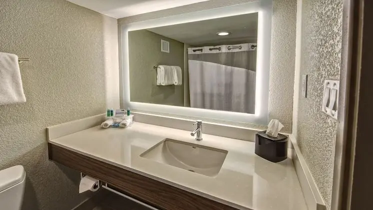 Standard Oda, 2 Büyük (Queen) Boy Yatak, Engellilere Uygun (Mobility, Roll-In Shower)
