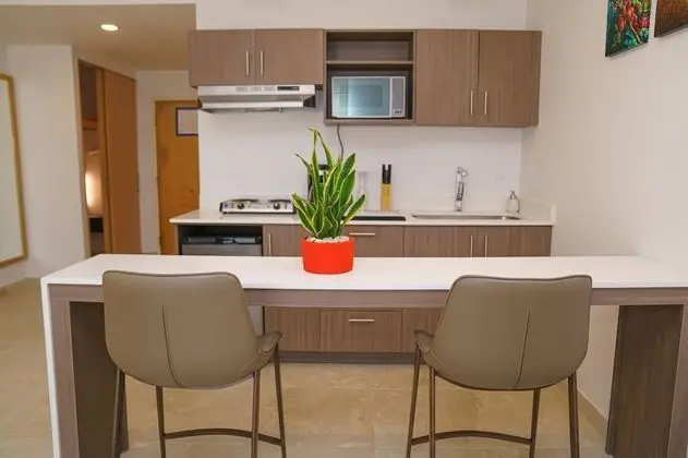 Süit, 1 En Büyük (King) Boy Yatak (additional kitchen area)