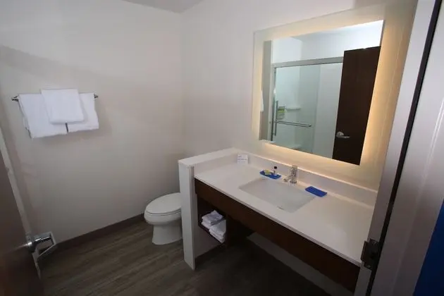 Standard Oda, 2 Büyük (Queen) Boy Yatak, Engellilere Uygun (Mobility, Roll-In Shower)