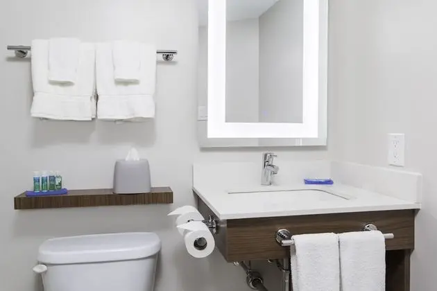 Standard Oda, 1 En Büyük (King) Boy Yatak (Pet-Friendly)