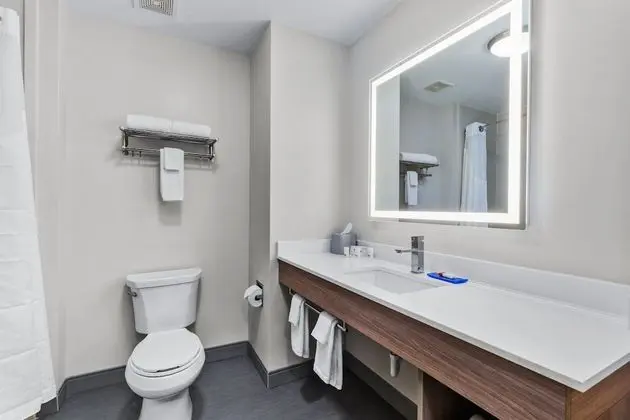 Süit, 1 En Büyük (King) Boy Yatak