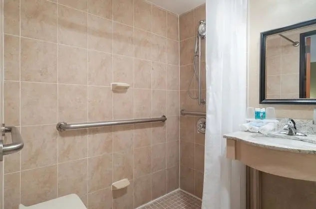 Oda, 1 En Büyük (King) Boy Yatak, Engellilere Uygun (Roll-In Shower)