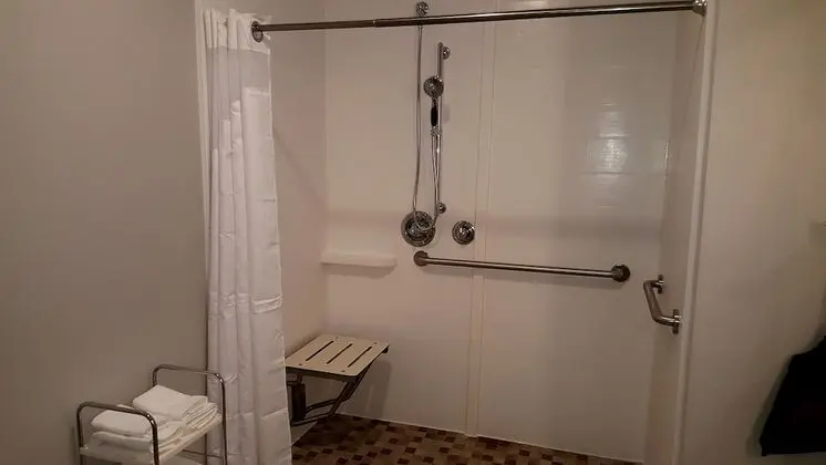 Standard Oda, 1 En Büyük (King) Boy Yatak, Engellilere Uygun (Roll-In Shower)