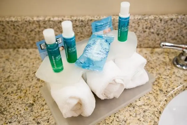 Standard Oda, 2 Büyük (Queen) Boy Yatak, Engellilere Uygun (Comm, Tub)