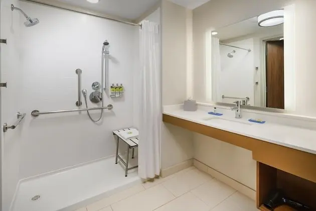 Süit, 2 Büyük (Queen) Boy Yatak, Engellilere Uygun, Sigara İçilmez (Roll-In Shower)