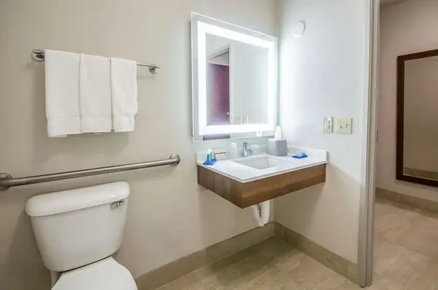 Standard Oda, 1 En Büyük (King) Boy Yatak, Engellilere Uygun (Communication, Roll-In Shower)
