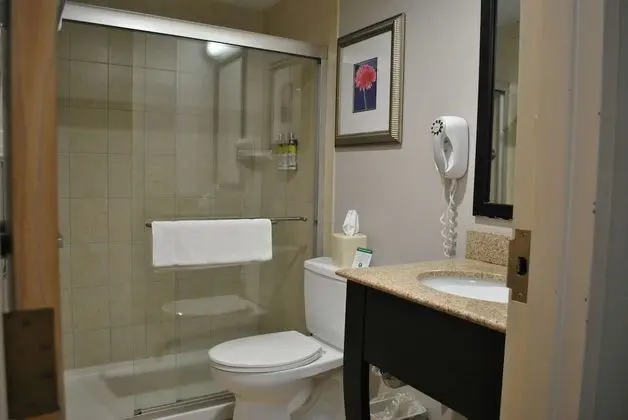 Standard Oda, 1 En Büyük (King) Boy Yatak, Sigara İçilmez (with Single Sofabed)