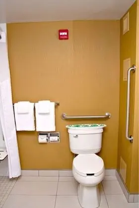 Süit, 1 En Büyük (King) Boy Yatak, Engellilere Uygun (Mobility, Roll-In Shower)
