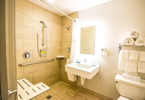 Oda, 1 En Büyük (King) Boy Yatak, Engellilere Uygun, Sigara İçilmez (Mobility, Transfer Shower)