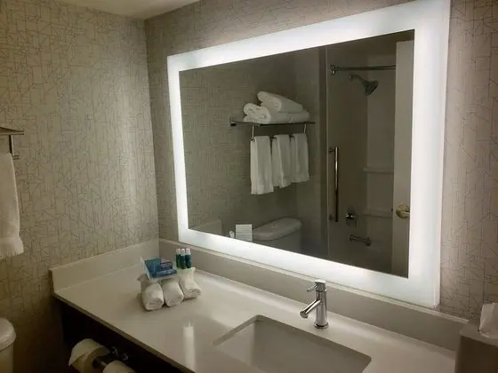 Standard Oda, 1 En Büyük (King) Boy Yatak, Engellilere Uygun (Mobility, Accessible Tub)