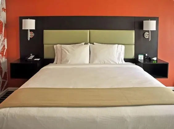 Standard Oda, 1 En Büyük (King) Boy Yatak, Engellilere Uygun (Communications, Accessible Tub)