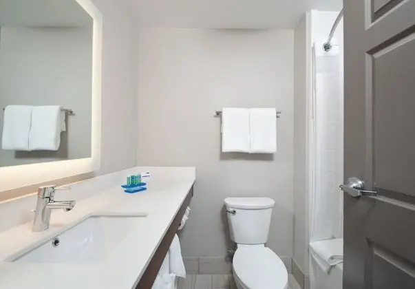 Süit, 1 En Büyük (King) Boy Yatak, Engellilere Uygun (Mobility, Accessible Tub)