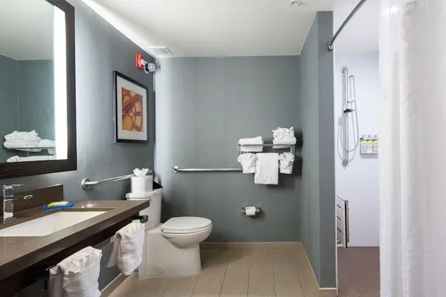 Standard Oda, 1 En Büyük (King) Boy Yatak, Engellilere Uygun (Hearing, Roll-In Shower)