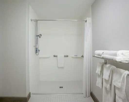 Standard Oda, 1 Büyük (Queen) Boy Yatak, Engellilere Uygun (Mobility, Roll In Shower)