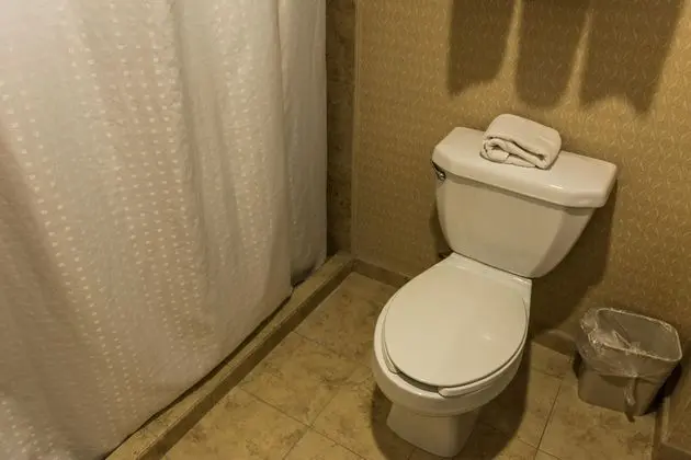 Oda, 1 En Büyük (King) Boy Yatak, Engellilere Uygun (Mobility)