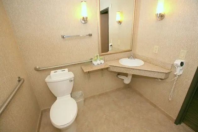 Standard Oda, 1 En Büyük (King) Boy Yatak, Engellilere Uygun (Roll-In Shower)