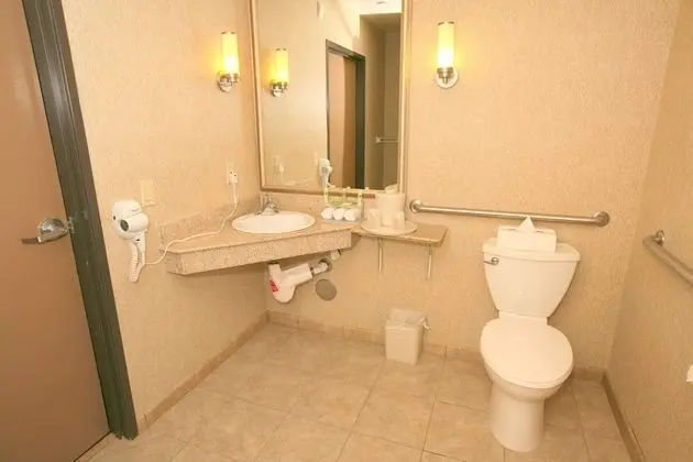 Standard Oda, 1 En Büyük (King) Boy Yatak, Engellilere Uygun (Roll-In Shower)