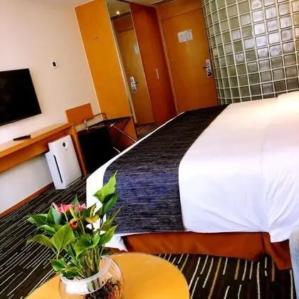 Standard Oda, 1 Büyük (Queen) Boy Yatak