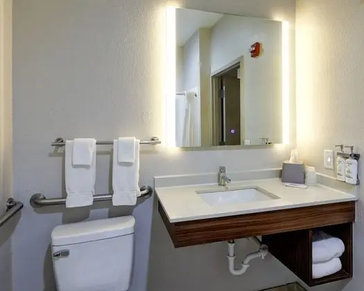 Standard Oda, 1 En Büyük (King) Boy Yatak, Engellilere Uygun (Transfer Shower)