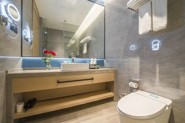 Standard Oda, 1 En Büyük (King) Boy Yatak, Şehir Manzaralı