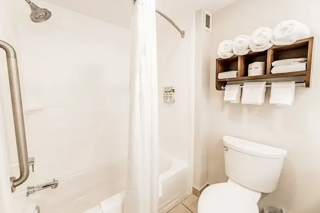 Oda, 1 En Büyük (King) Boy Yatak, Engellilere Uygun, Mikrodalga (Mobility, Accessible Tub)
