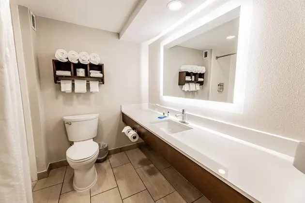 Standard Oda, 1 En Büyük (King) Boy Yatak (Additional Living Area)