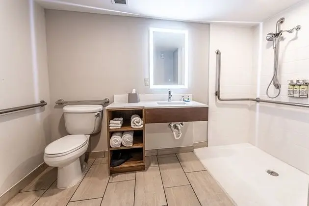 Standard Oda, 1 En Büyük (King) Boy Yatak, Engellilere Uygun (Communications, Roll-In Shower)