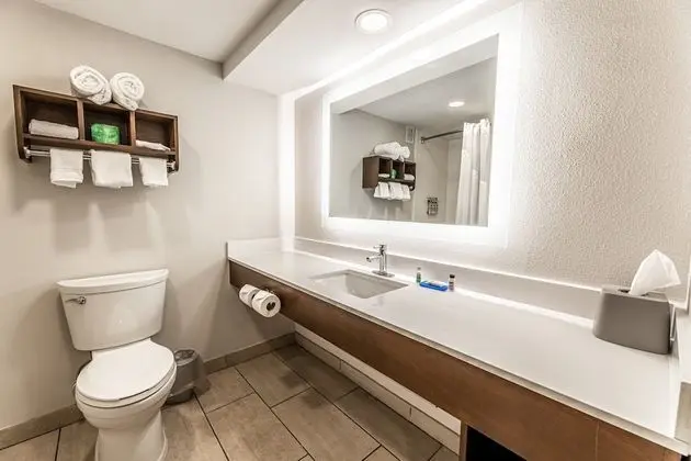 Standard Oda, 1 En Büyük (King) Boy Yatak, Engellilere Uygun (Mobility, Accessible Tub)