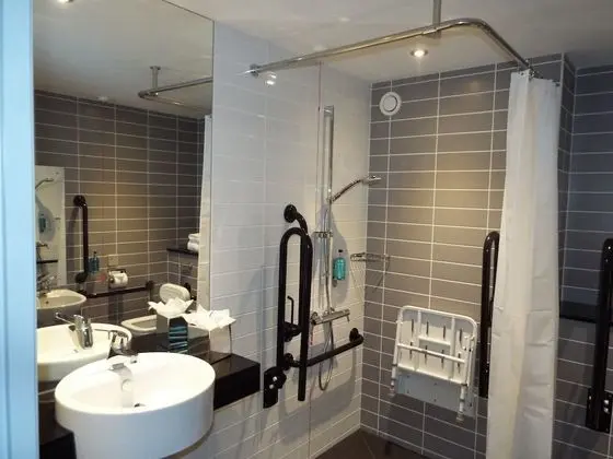 Standard Oda, 1 Büyük (Queen) Boy Yatak, Engellilere Uygun (1 Bed, Roll In Shwr)