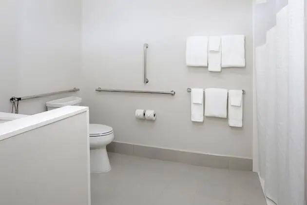 Süit, 1 En Büyük (King) Boy Yatak, Engellilere Uygun (Comm, Roll in Shower)