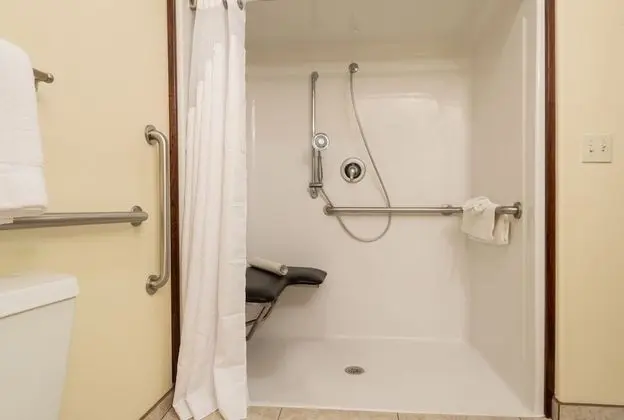 Standard Oda, 2 Büyük (Queen) Boy Yatak, Engellilere Uygun (Mobility, Roll-In Shower)