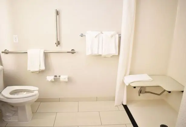 Standard Oda, 2 Büyük (Queen) Boy Yatak, Engellilere Uygun (Mobility, Roll-In Shower)