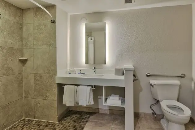 Standard Oda, Birden Çok Yatak, Engellilere Uygun (Roll-In Shower)
