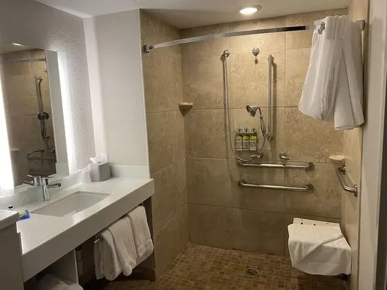 Standard Oda, Birden Çok Yatak, Engellilere Uygun (Roll-In Shower)
