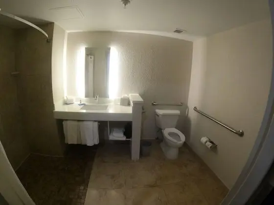 Standard Oda, Birden Çok Yatak, Engellilere Uygun (Roll-In Shower)