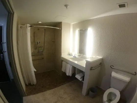 Standard Oda, Birden Çok Yatak, Engellilere Uygun (Roll-In Shower)
