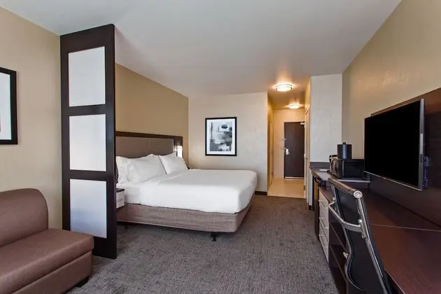 Suite, 1 King Bed with Sofa bed, Accessible (Roll in Shower)