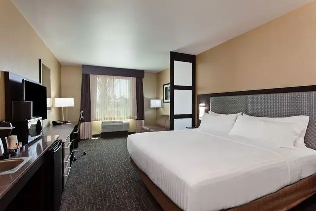 Suite, 1 King Bed with Sofa bed, Accessible (Roll in Shower)
