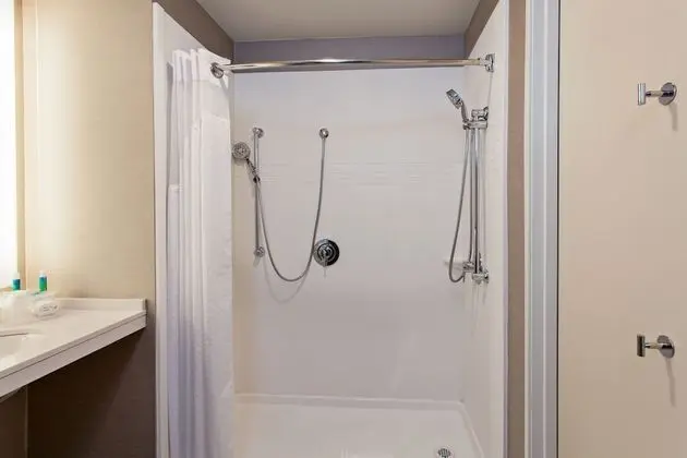 Suite, 1 King Bed with Sofa bed, Accessible (Roll in Shower)