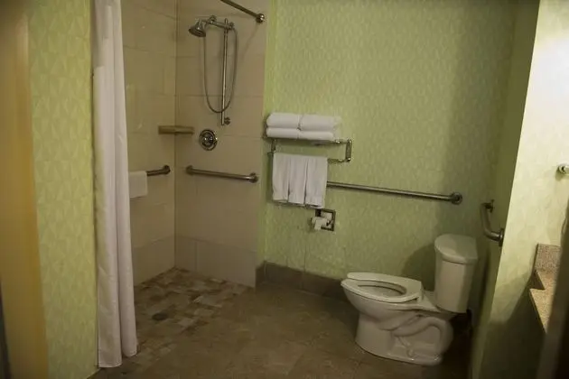 Standard Oda, 1 En Büyük (King) Boy Yatak, Engellilere Uygun (Communication, Accessible Tub)