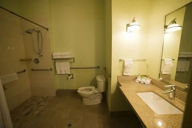 Standard Oda, 1 En Büyük (King) Boy Yatak, Engellilere Uygun (Mobility, Roll-In Shower)