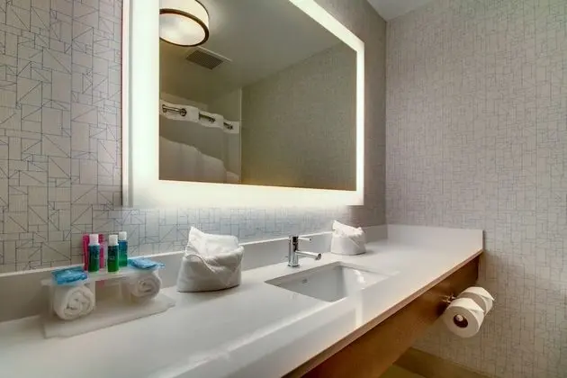 Standard Oda, 1 En Büyük (King) Boy Yatak, Engellilere Uygun (Roll-In Shower)