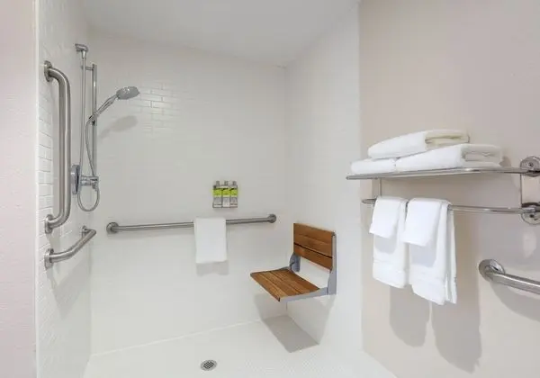 Süit, 1 En Büyük (King) Boy Yatak, Engellilere Uygun (Roll-In Shower)