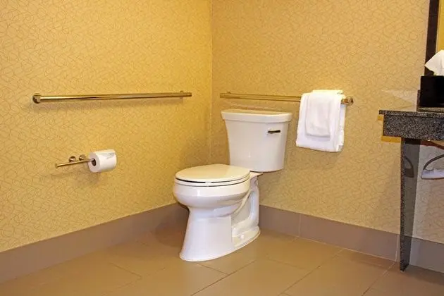 Süit, 1 Yatak Odası, Engellilere Uygun (Mobility, Accessible Tub)