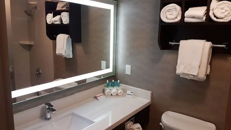 Süit, 1 En Büyük (King) Boy Yatak ve Çekyat, Engellilere Uygun (Mobility, Accessible Tub)