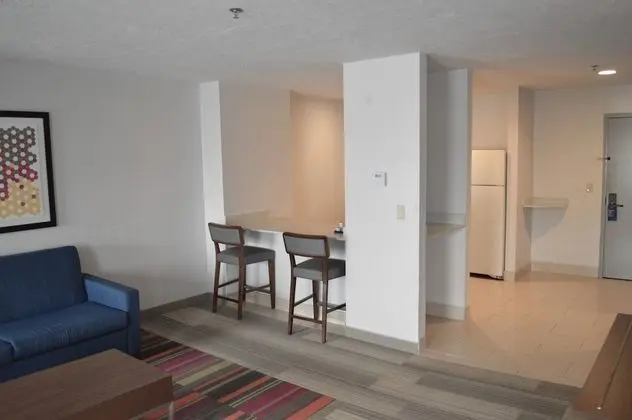 Süit, 1 Yatak Odası, Sıcak Su Küveti (1 King, Sofa Bed)