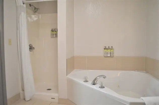 Süit, 1 Yatak Odası, Sıcak Su Küveti (1 King, Sofa Bed)