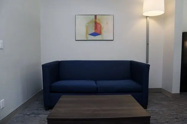 Standard Oda, 1 En Büyük (King) Boy Yatak ve Çekyat (Hearing)
