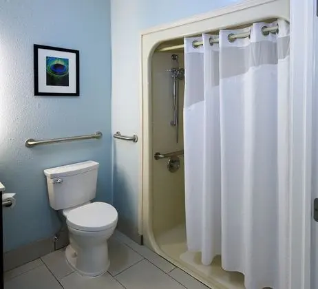 Standard Oda, 1 En Büyük (King) Boy Yatak, Engellilere Uygun (Roll-In Shower)
