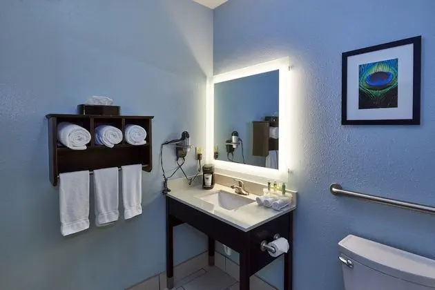 Süit, 1 Yatak Odası (Wet Bar)